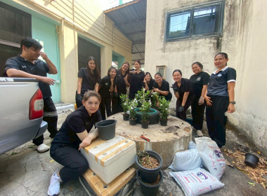 “ปลูกพืชผักสวนครัว” ภายใต้โครงการส่งเสริมองค์กรคุณธรรม ... พารามิเตอร์รูปภาพ 15